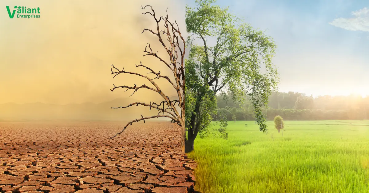 The Impact of Climate Change on Agriculture A Wake-Up Call for Us All